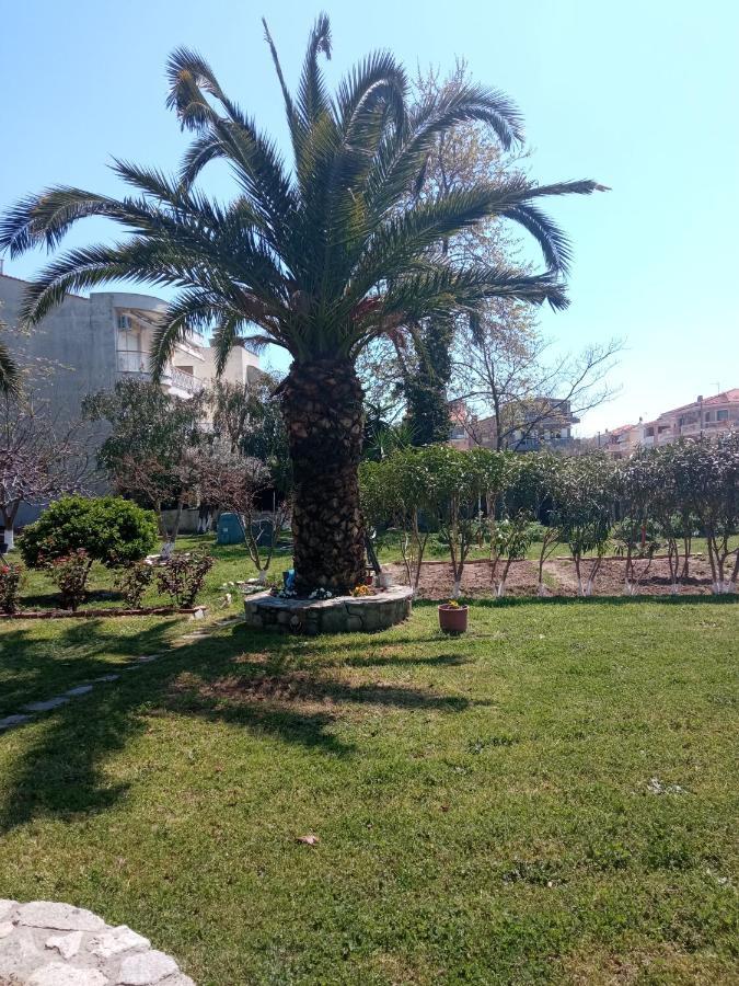 Apartament Sofia'S Garden Néa Péramos Zewnętrze zdjęcie