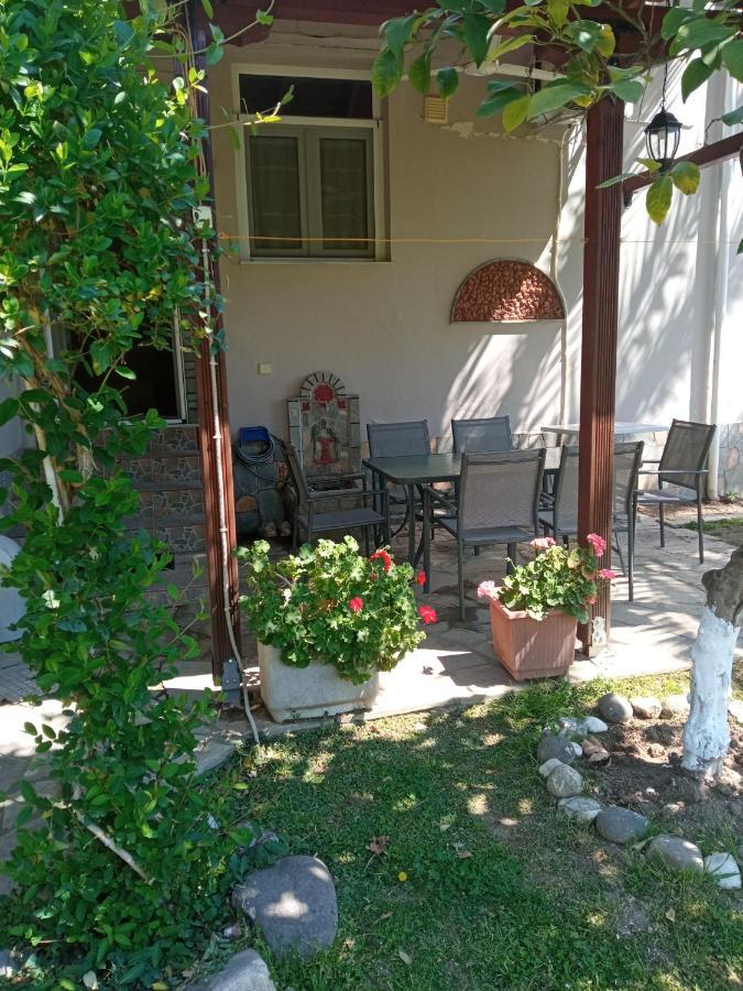 Apartament Sofia'S Garden Néa Péramos Zewnętrze zdjęcie