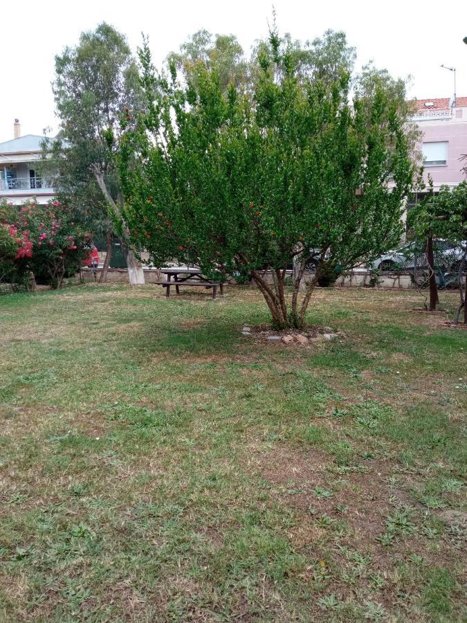 Apartament Sofia'S Garden Néa Péramos Zewnętrze zdjęcie