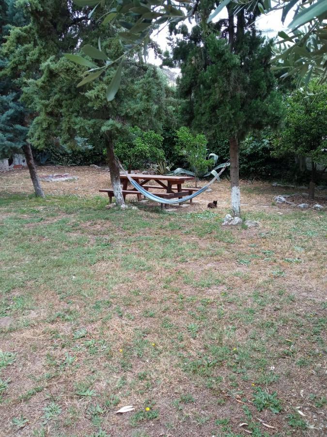 Apartament Sofia'S Garden Néa Péramos Zewnętrze zdjęcie